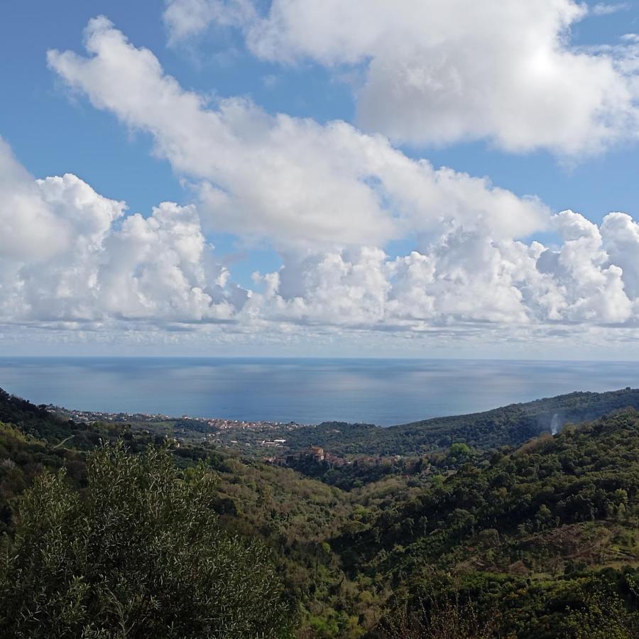 Exclusive eco-b&b with sea view Casale Il Sughero - B&B Vibonati