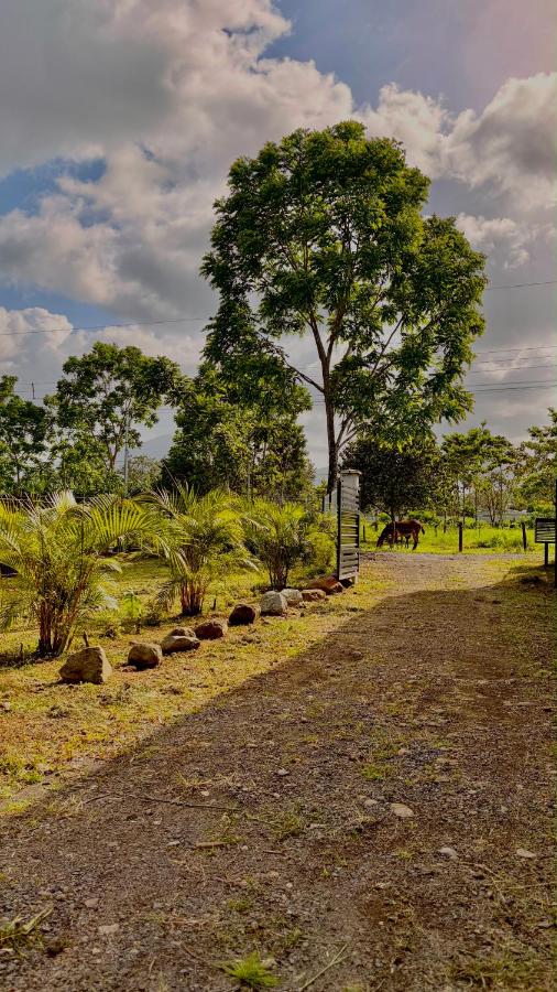 Villa Fénix Arenal - Chambres d'hôtes La Fortuna