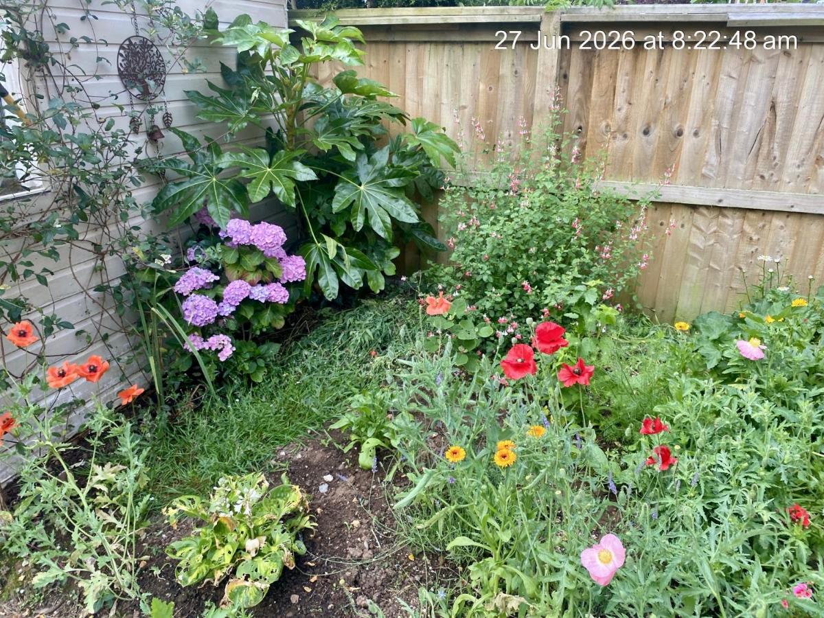 Room 5 Min to Hospital, County Hall, Shared Bathroom - B&B Exeter