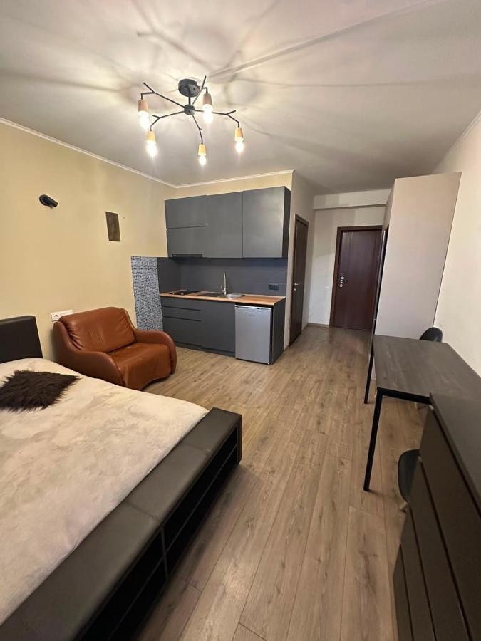 Didveli K223 - Ferienwohnung Bakuriani