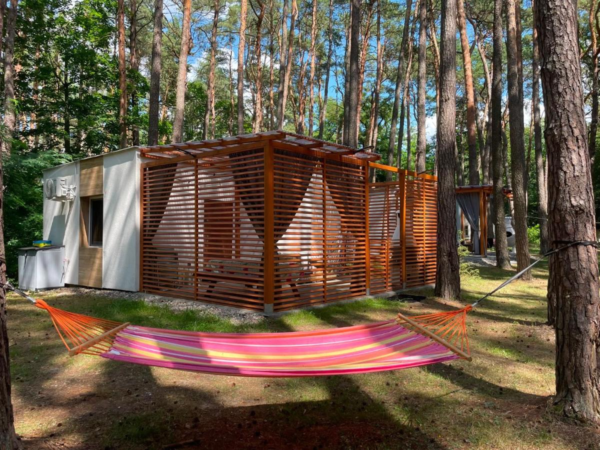 W sosnowym lesie 2 - B&B Lubniewice