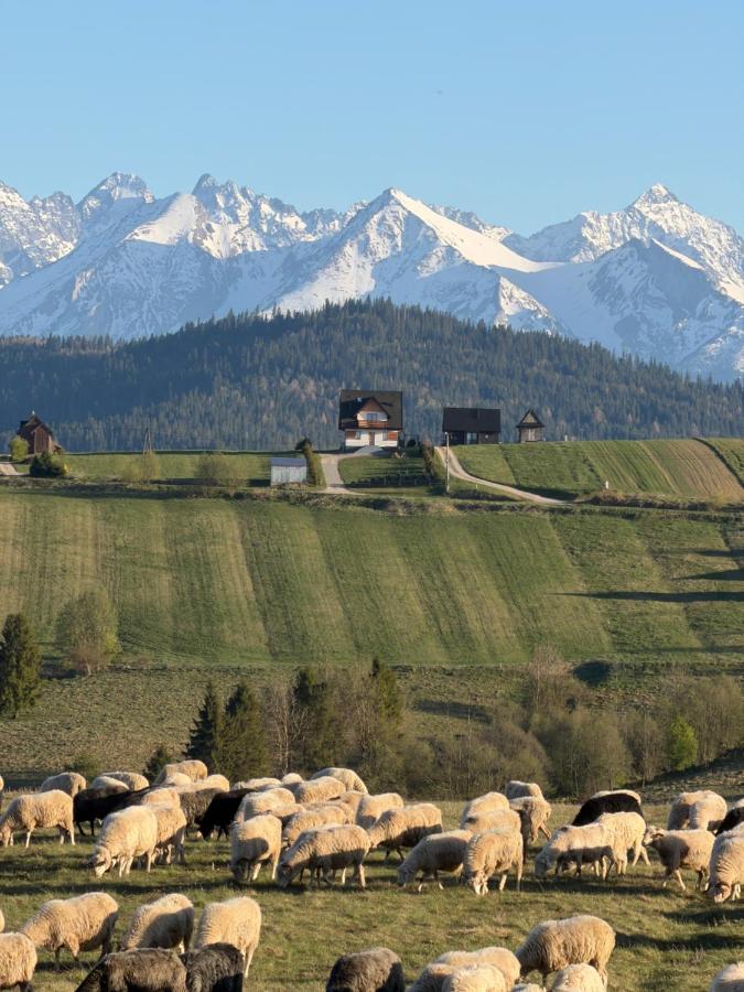Domek na Wichrowym Wzgórzu - B&B Dursztyn
