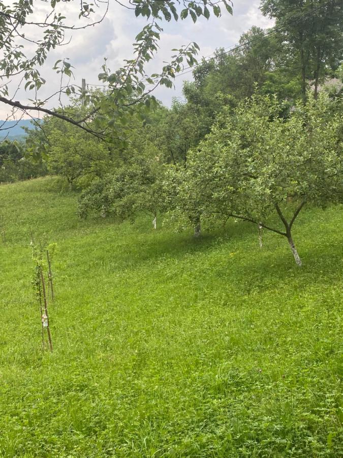 Casa Marisa - B&B Vişeu de Jos