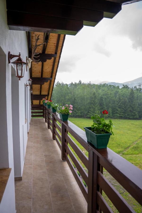 Belvedere Retezat - Chambres d'hôtes Câmpu lui Neag