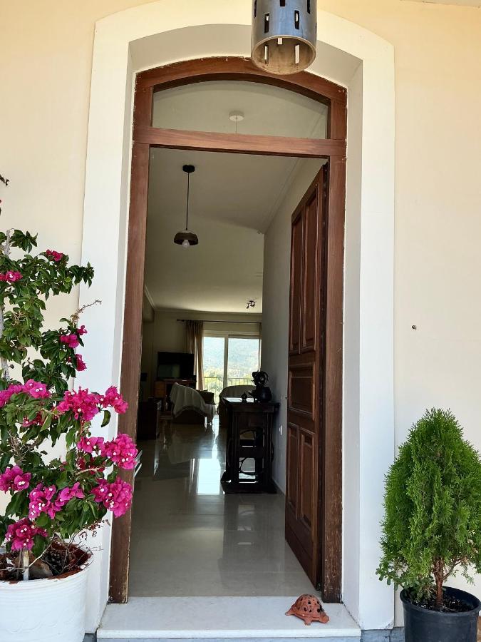 Horizon House, with Olive Grove and a small Vineyard - Bed and Breakfast Amarynthos