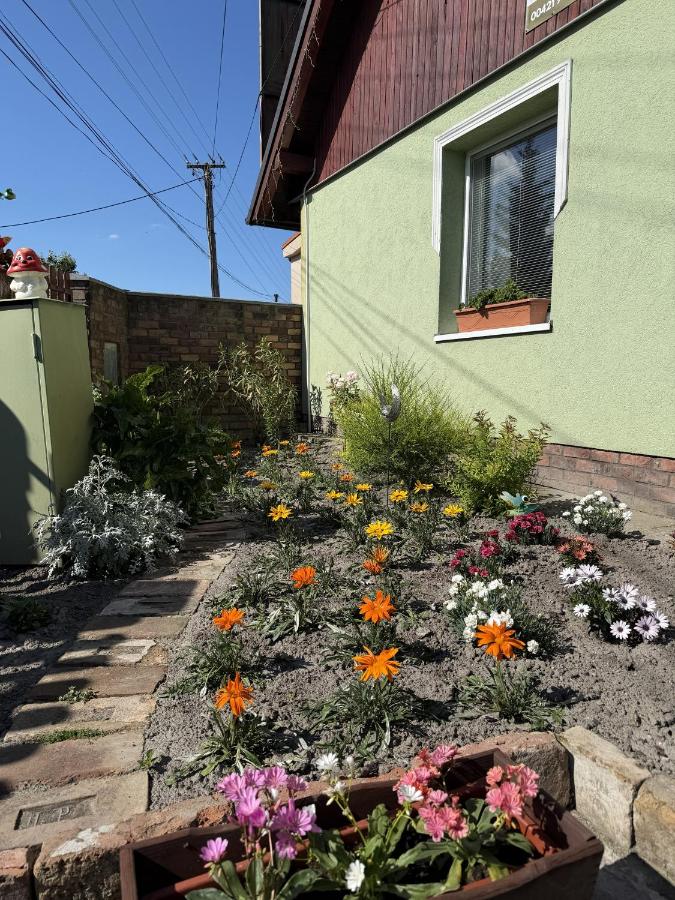 A small green house with white-trimmed window sits at pet-friendly Zelený Domek in Velky Meder.