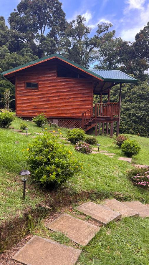 Entre Árboles Lodge - B&B San Gerardo de Dota