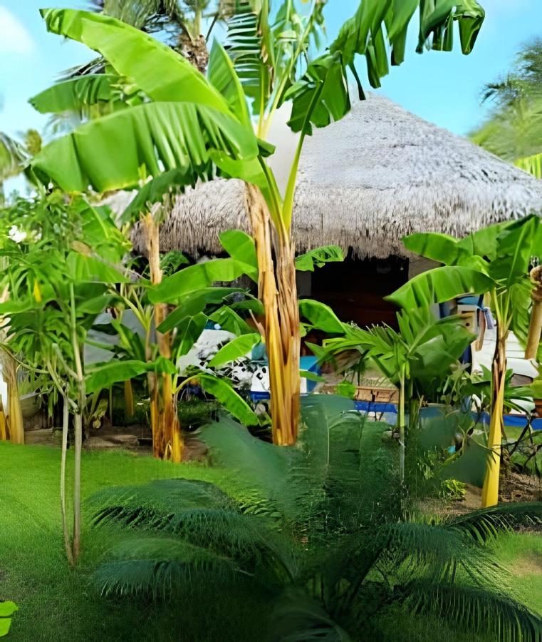 Casa Mandala- Kite Village - B&B Icaraí