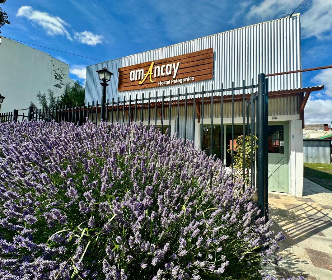 Amancay, Hostal Patagonico - Chambres d'hôtes El Calafate
