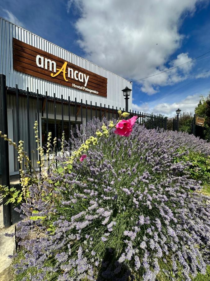 Amancay, Hostal Patagonico - Chambres d'hôtes El Calafate