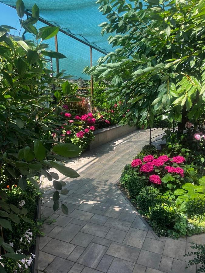 Family House - Ferienwohnung Odessa