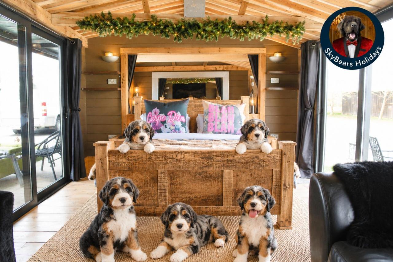 Drumcoltran Cabin by SkyBears Holidays - Puppy Lounge, Arcades, Games room - B&B Newton by Toft