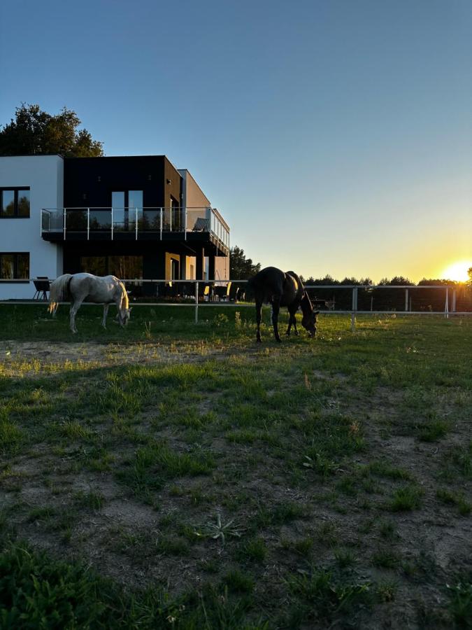 Modern Rancho - apartamenty nad rzeką, przy stadninie koni - B&B Kruszyna