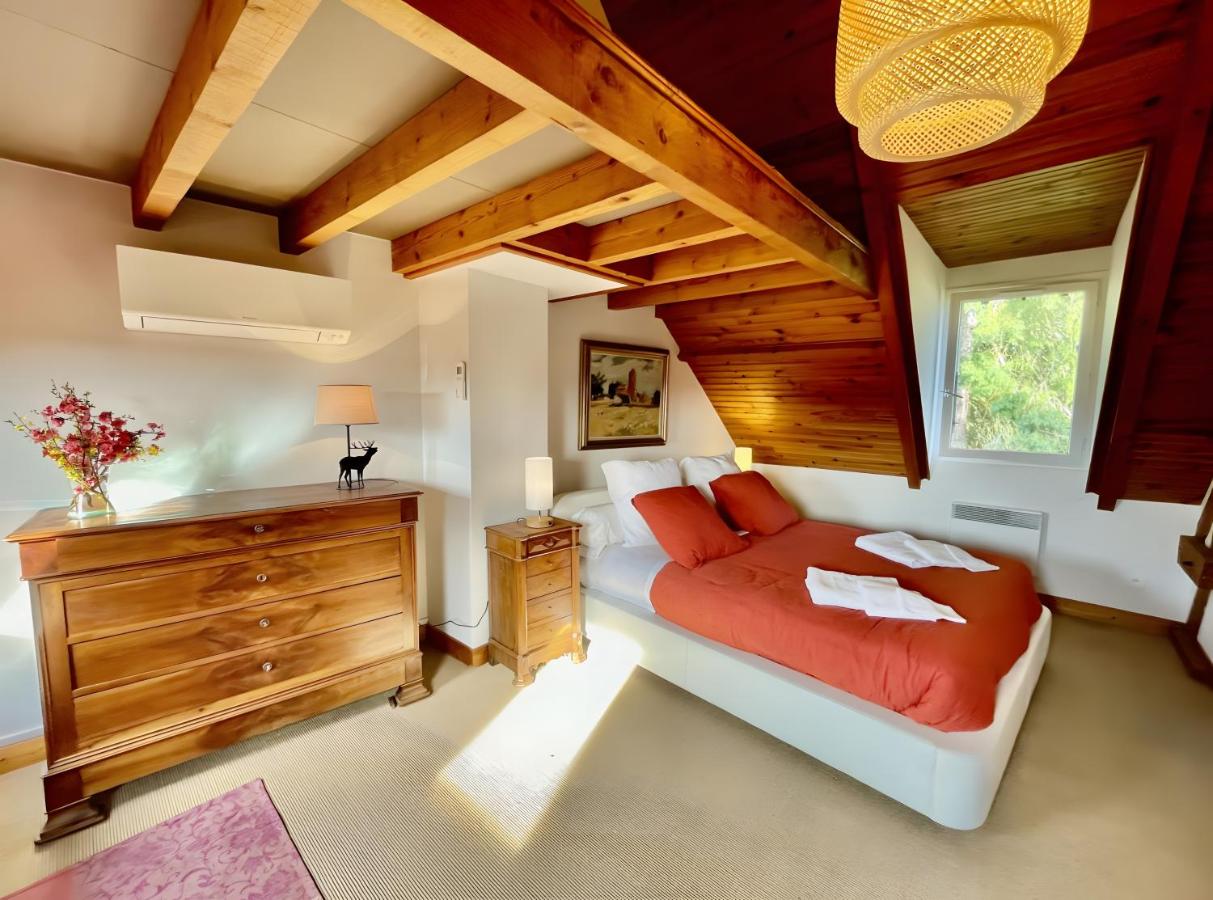 Jolie futaie à Meaulne-Tronçais - B&B Meaulne