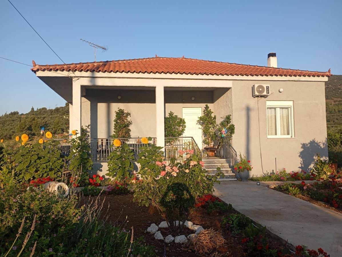Classic Guesthouse Nafplion - Ferienwohnung Nafplion