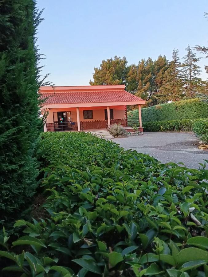 Villa Rosa - B&B Andria