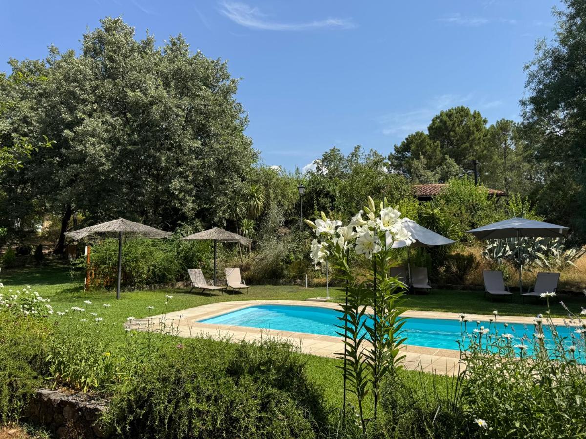 El Roble, casitas rurales - Chambres d'hôtes Valverde de la Vera