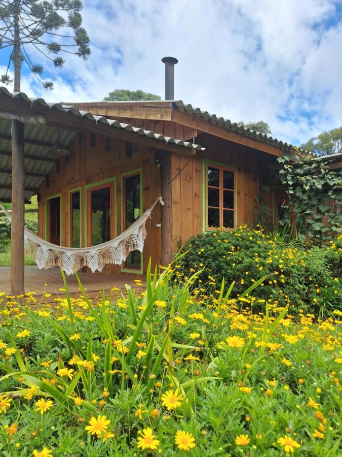 Sítio Recanto da Guarda - Cabana Araucária - Chambres d'hôtes Bom Retiro