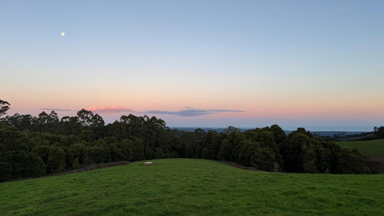 Otway Junction Motor Inn - Bed and Breakfast Lavers Hill