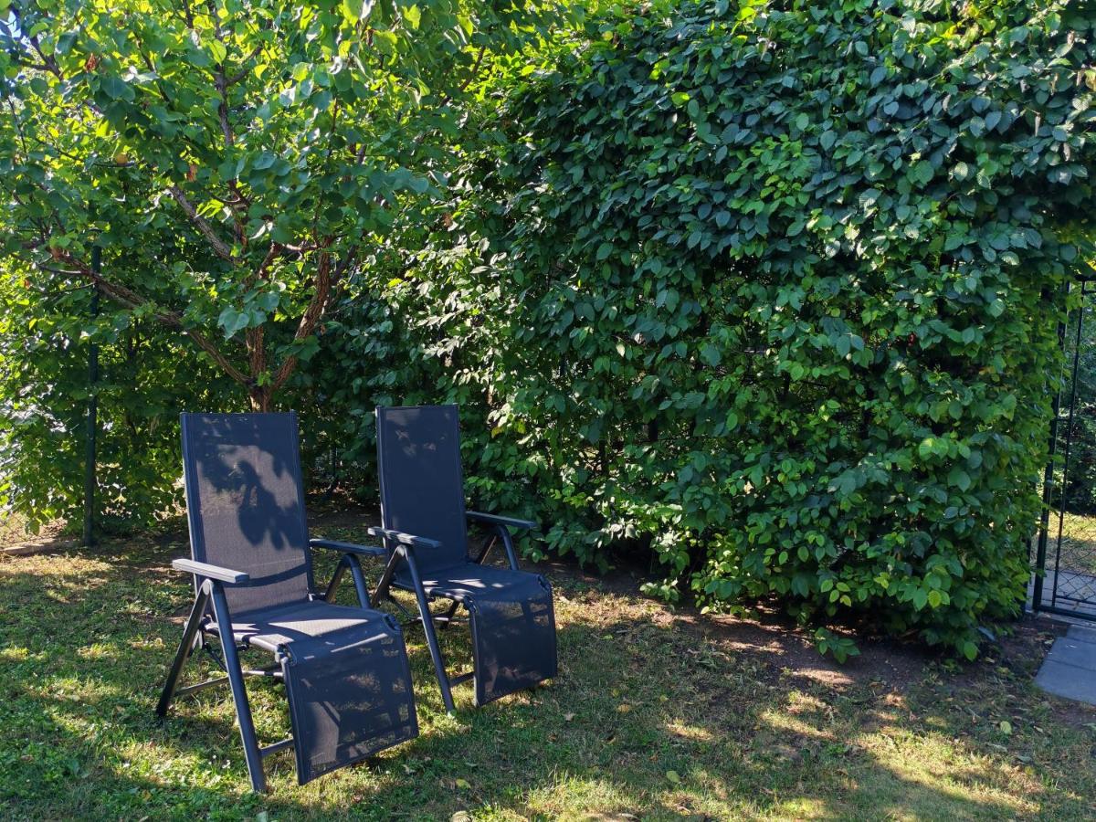 Jiné ubytování Lednice - B&B Lednice