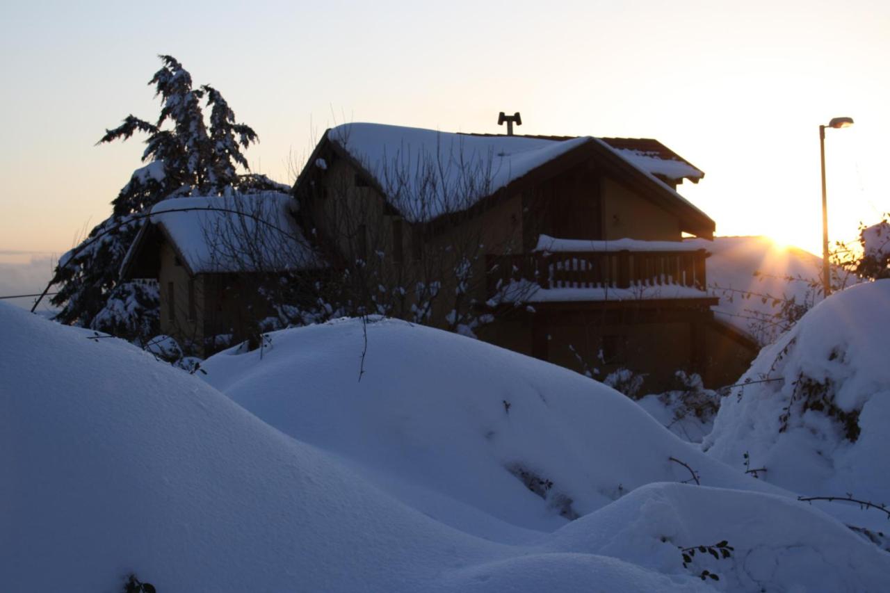 Suzanna in Odem - Bed and Breakfast