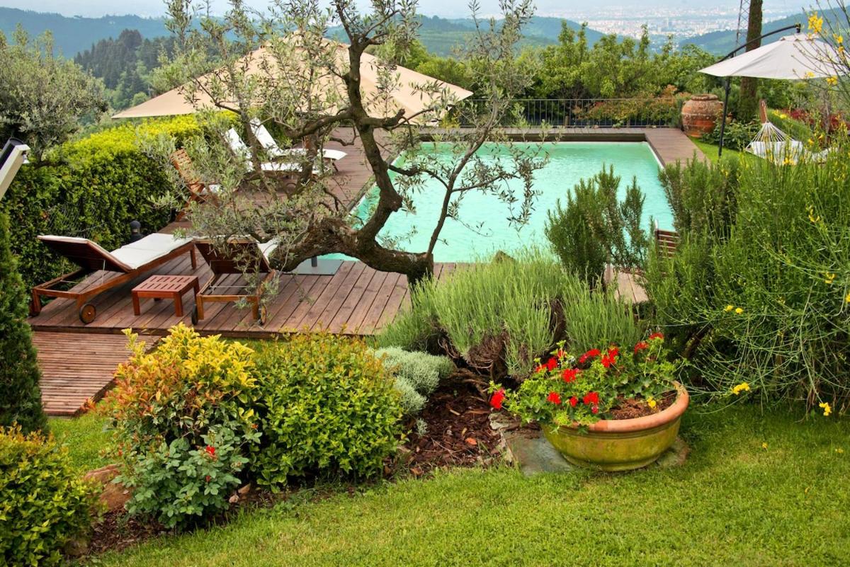 Casa Leo Florence View with Private Pool - B&B Castiglione