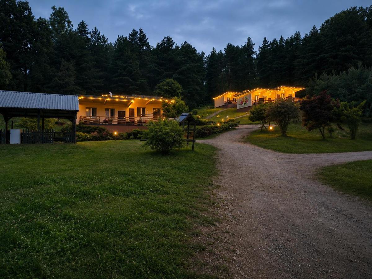 Zagórze Camp - Bed and Breakfast Drezdenko