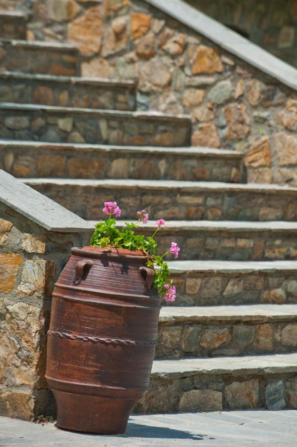 Sofia's House - Chambres d’hôtes Vourvourou