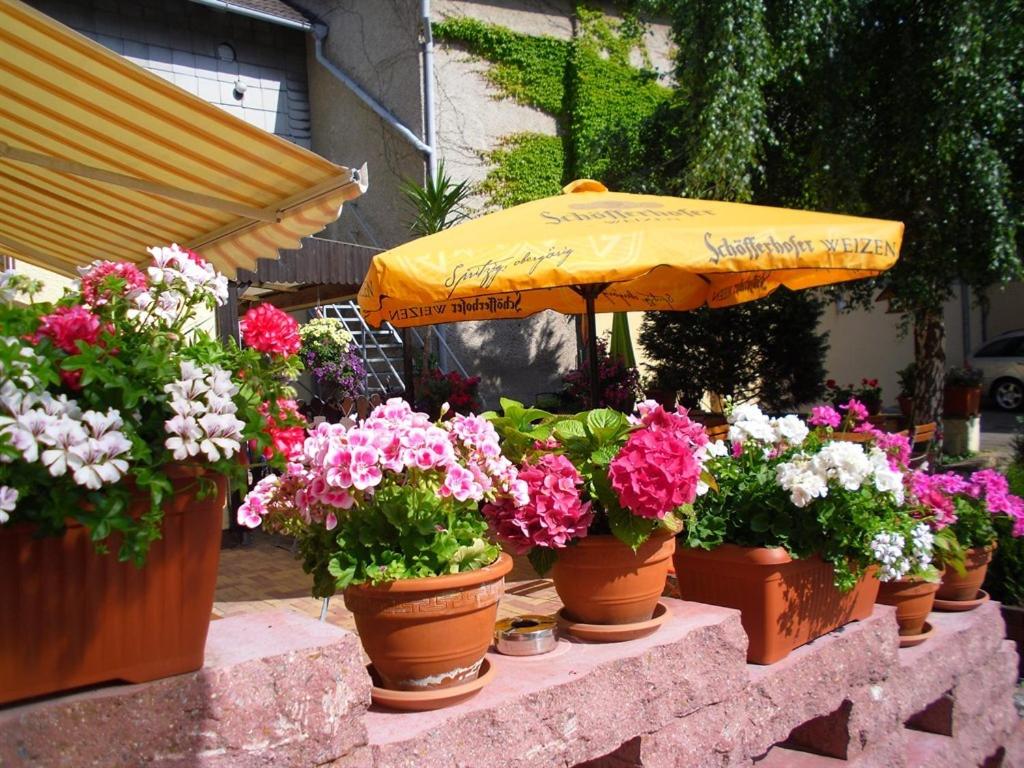 Hotel & Gasthaus Forelle - Chambres d'hôtes Thale