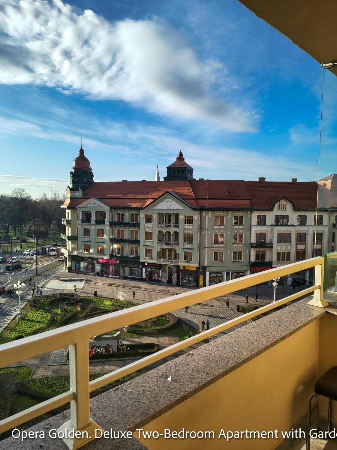 Ospitalier Piata Operei - 5 spacious apartments in City Center - B&B Timișoara