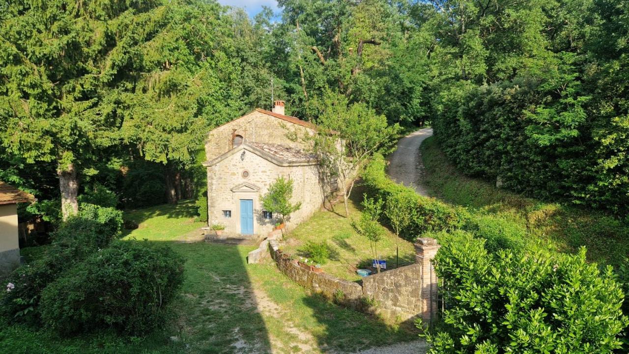 La Casa nel Bosco - Casa in pietra con giardino - Bed and Breakfast Vicchio
