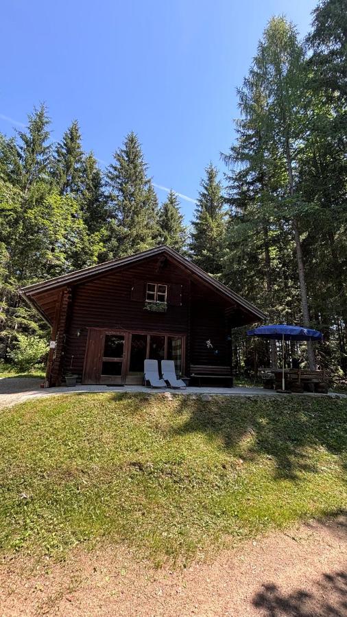 Ferienhütte Hochalm - Ferienwohnung Lunz am See