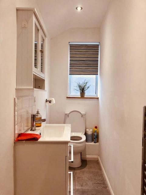 SkyFall A Cosy 1 Bedroom House in Portishead - Ferienwohnung Portishead
