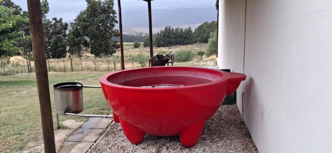 Barton Hoopoe Cottage near Hermanus with Wood Fired Hot Tub - B&B Botrivier