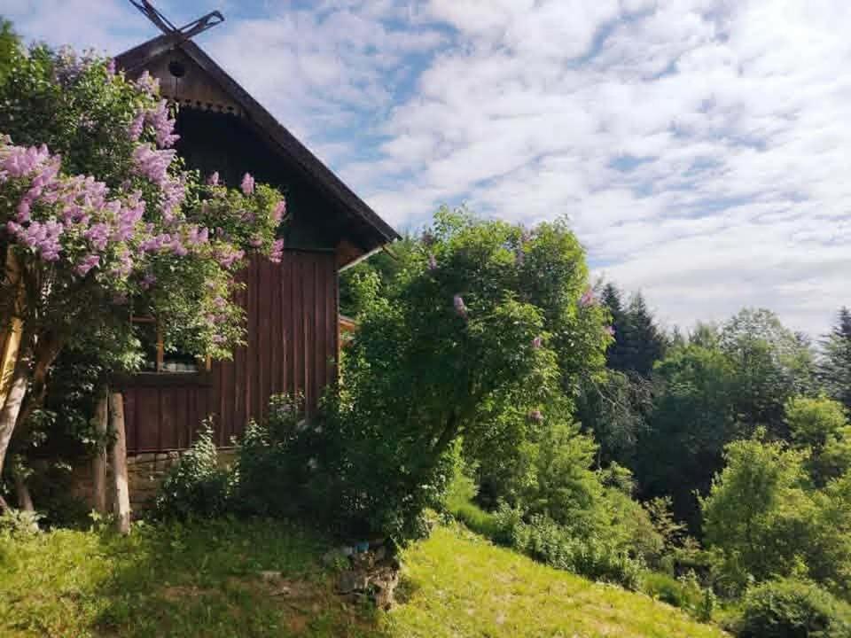 Ostaya - Mountain Cottage - Ferienwohnung Obidza