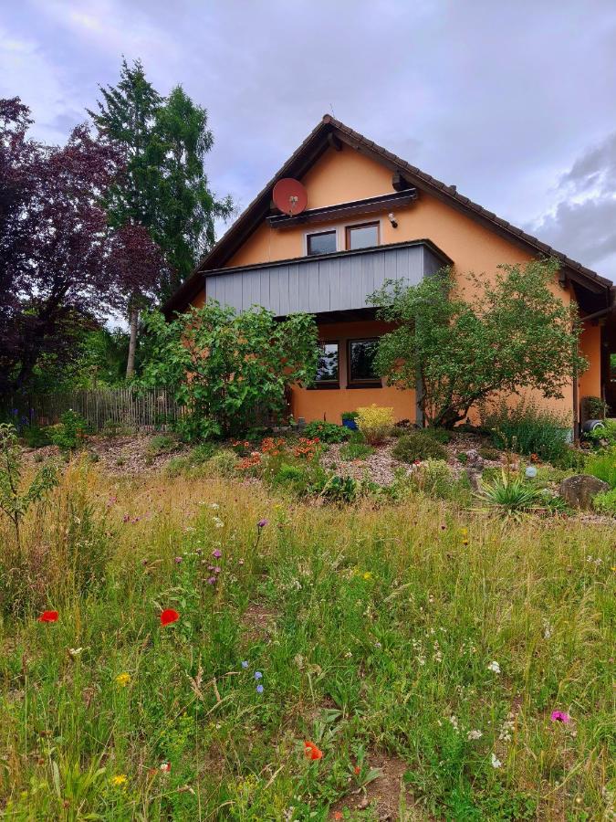 Ferienwohnung am Keltenwall - B&B Jestetten