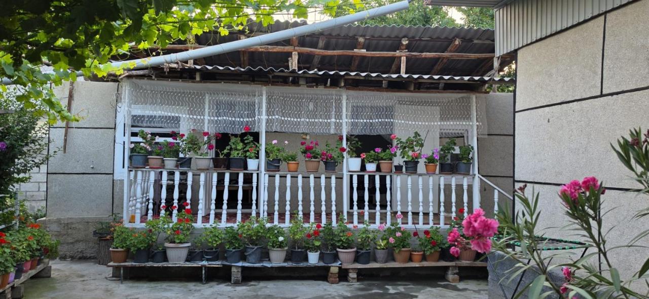 Aral Guest House - B&B Urta-Kyzyl