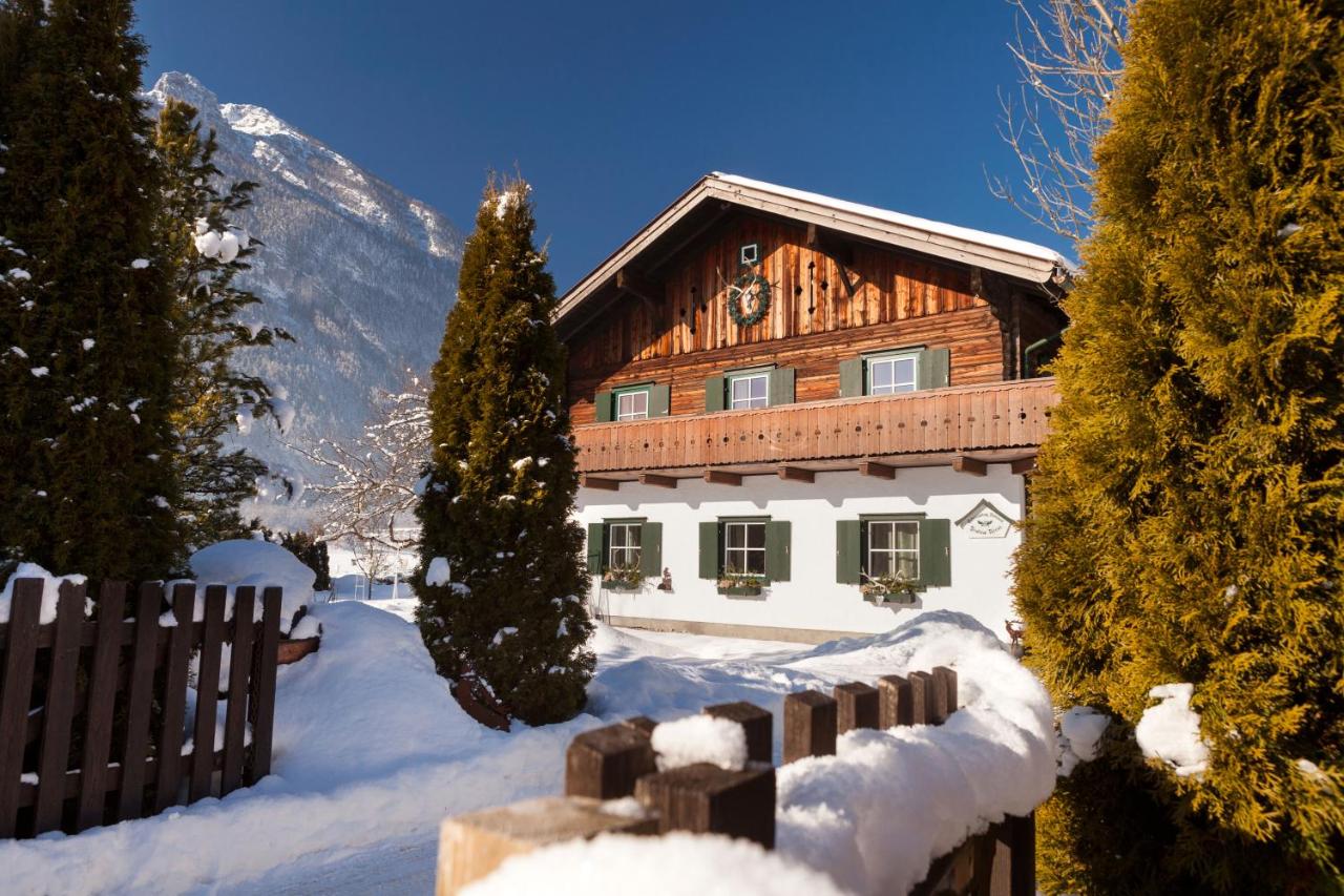 Forest Chalet, all famous ski areas around us, 15 min to city of salzburg, mountainview, panorama sauna, bath whirlpool, fire pit in garden up to 10 p - Chambres d'hôtes Golling an der Salzach