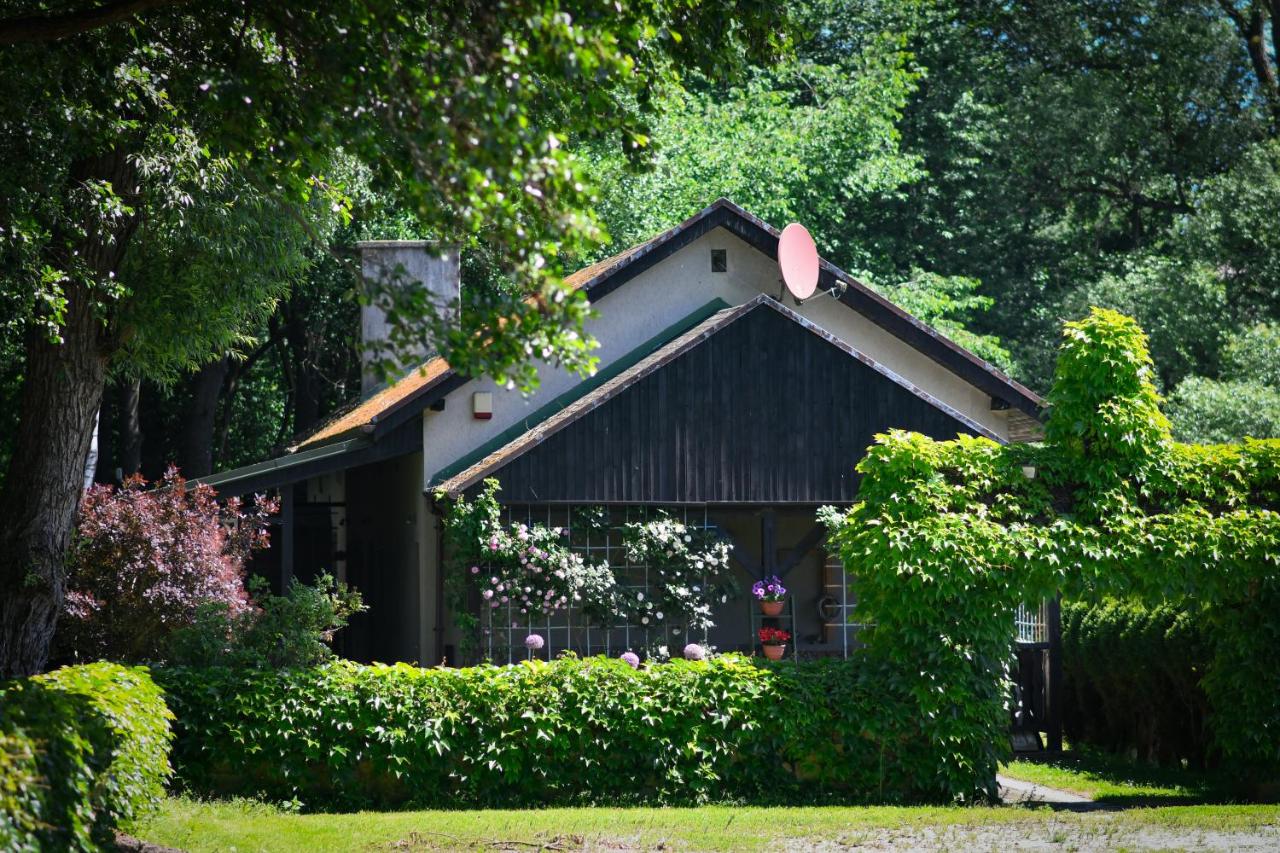 Wiejski Raj - Bed and Breakfast Chocieszów