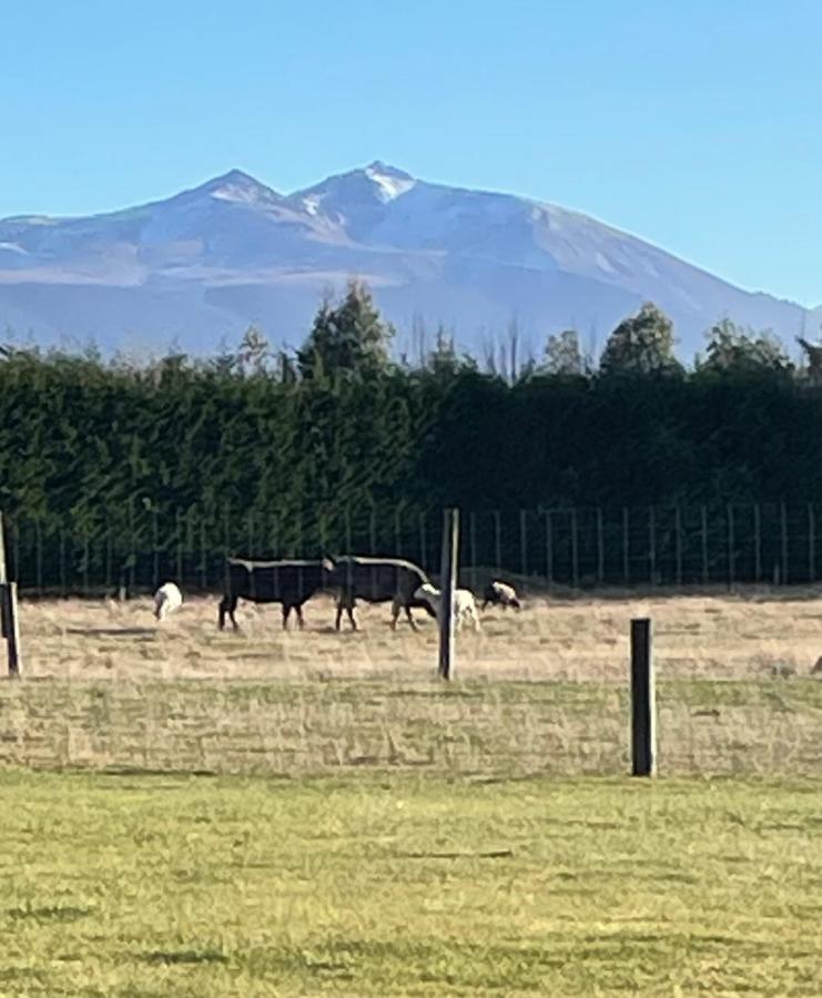 Whakatā - B&B Te Anau