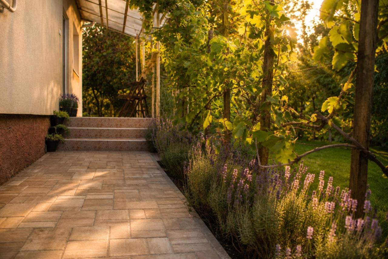 Grape&Wine Guesthouse - Bed and Breakfast Eger