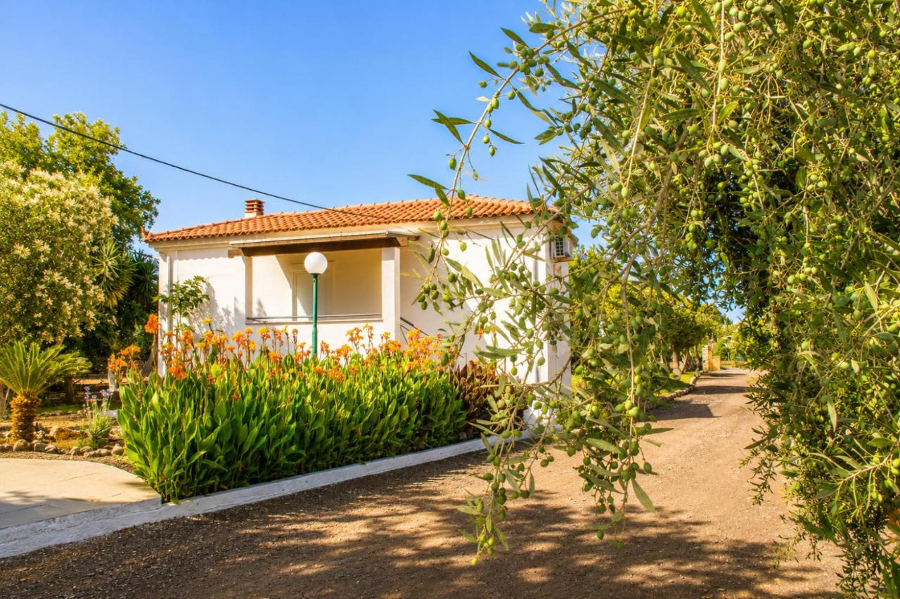Lagouvardos Beach Apartments - Ferienwohnung Marathópolis