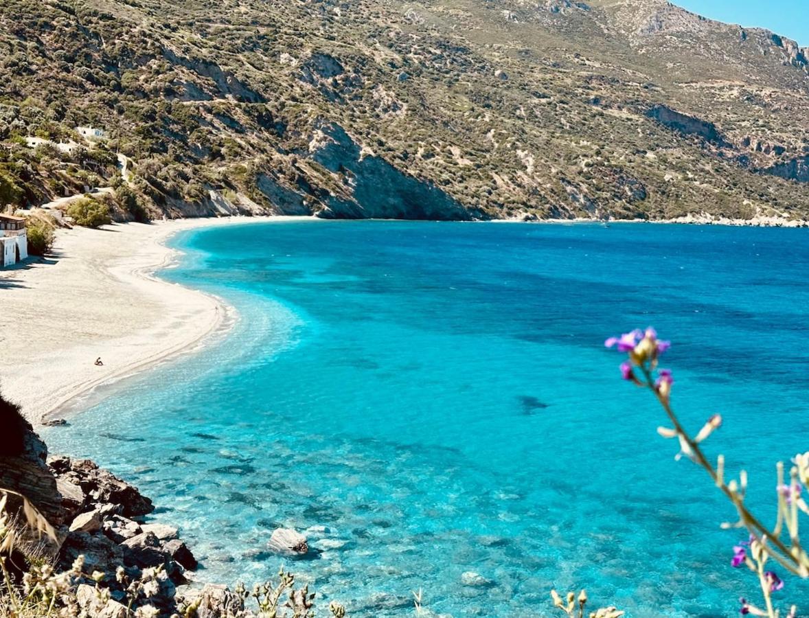 Cycladic Villa Eretria - B&B Eretria