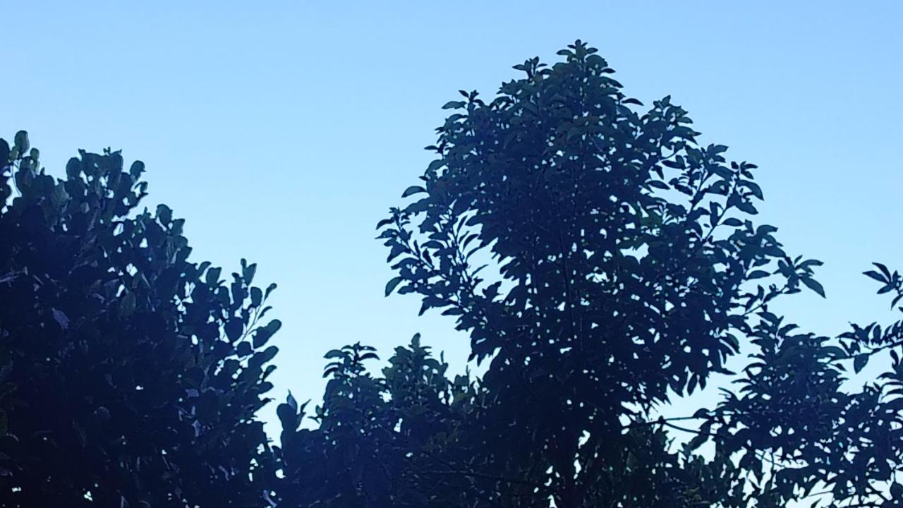 The Blue Crest Gree Haven Lodges - Bed and Breakfast Badulla