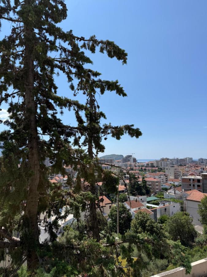 Kordic Apartments and rooms - Ferienwohnung Budva