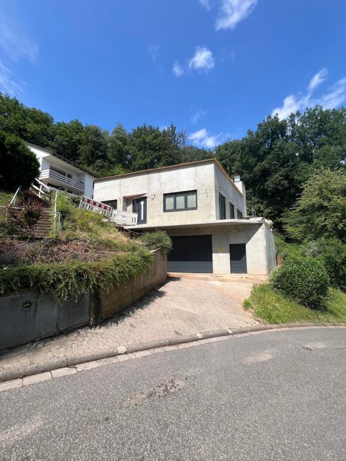 Wald & Wind Natur trifft Moderne - B&B Marburg