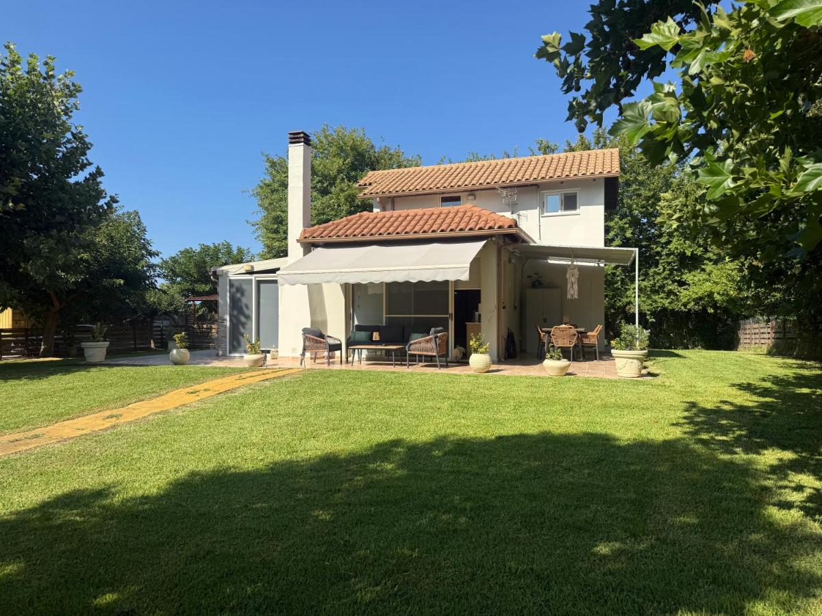 Oasi Loft - B&B Kourouta