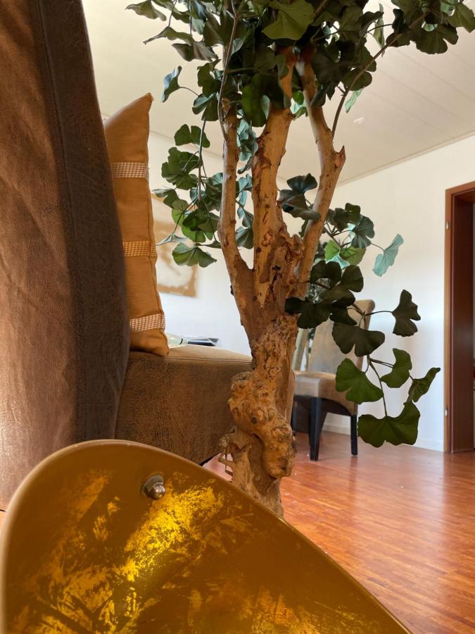 Gemütliche Wohnung im Zentrum von Seligenstadt Nähe Aschaffenburg und Frankfurt - B&B Seligenstadt