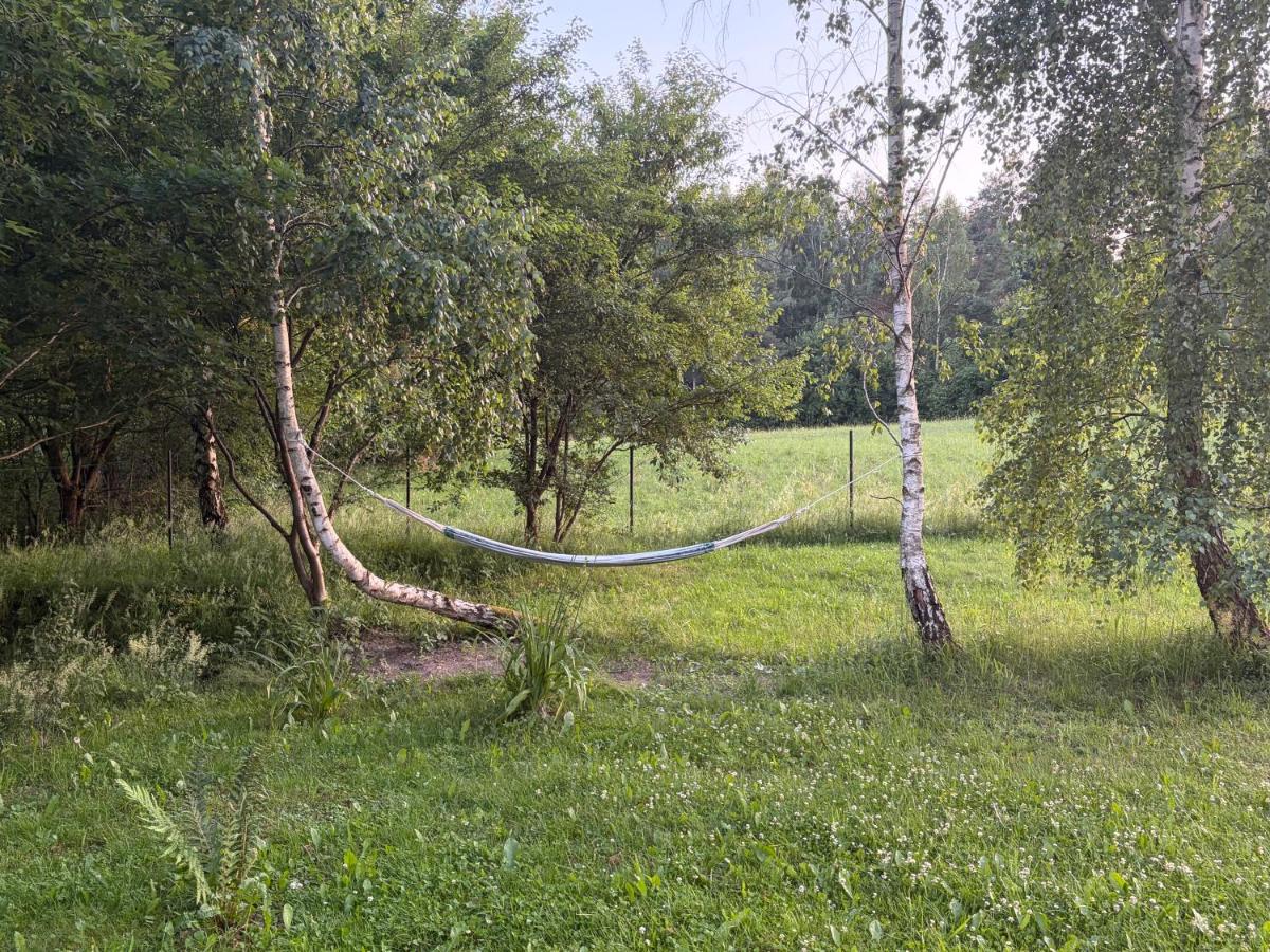 Cozy Forest House - B&B Jonkowo