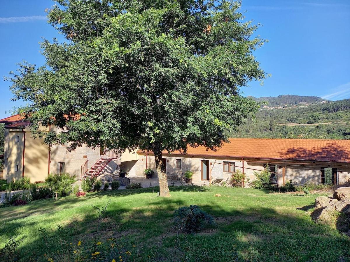 Quinta Pedra do Rio - Tâmega - B&B Salvador do Monte